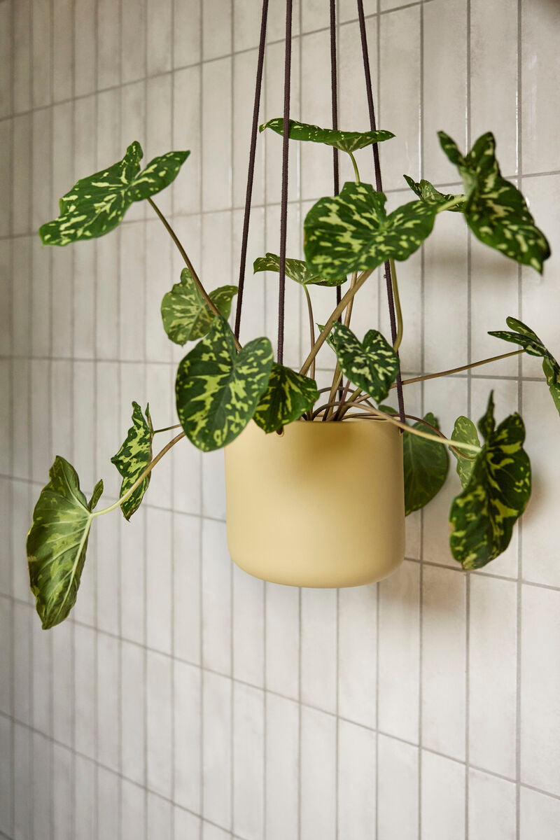 HANGING PLANT POT : SET OF 3