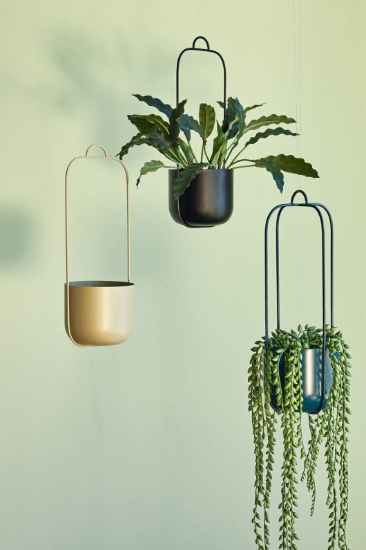 HANGING PLANT POT : SET OF 2